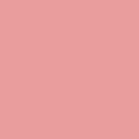 Blush Pink Acrylic Paint