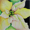 Yellow Poinsettia E-Pattern by Sue Cochrane