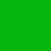 Kelly Green Acrylic Paint