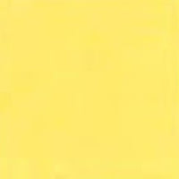 Lemon Burst Acrylic Paint