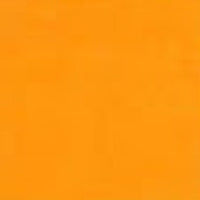 Fresh Mango Acrylic Paint