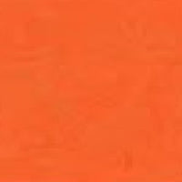 Coral Buzz Acrylic Paint