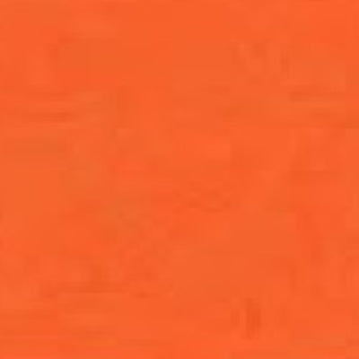 Coral Buzz Acrylic Paint