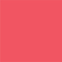 Teaberry Acrylic Paint