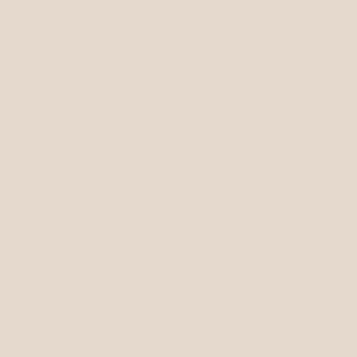 Oyster Beige Acrylic Paint
