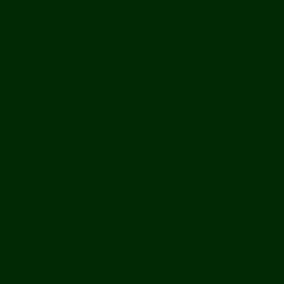 Black Forest Green Acrylic Paint
