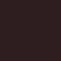 Black Plum Acrylic Paint