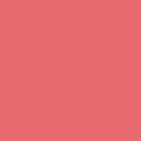 Bright Salmon Acrylic Paint