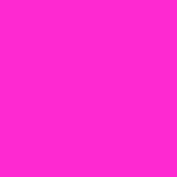 Carousel Pink Acrylic Paint