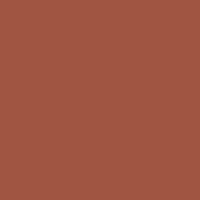 Red Spice Acrylic Paint