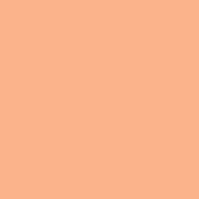 Coral Shell Acrylic Paint