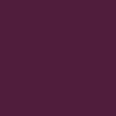 Cranberry Wine Acrylic Paint