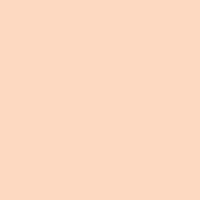 Sugared Peach Acrylic Paint