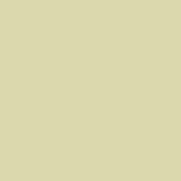 Desert Sand Acrylic Paint