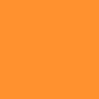Tangerine Acrylic Paint