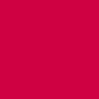 True Red Acrylic Paint