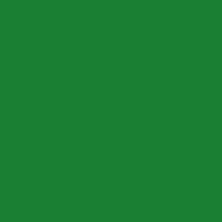 Forest Green Acrylic Paint