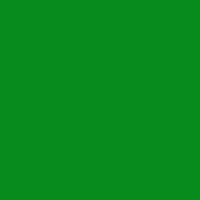 Holly Green Acrylic Paint
