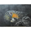 Grey Parrot E-Pattern By Debbie Cushing