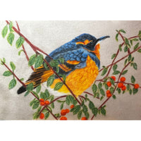 A Varied Thrush E-Pattern By Debbie Cushing