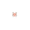 1" Spider