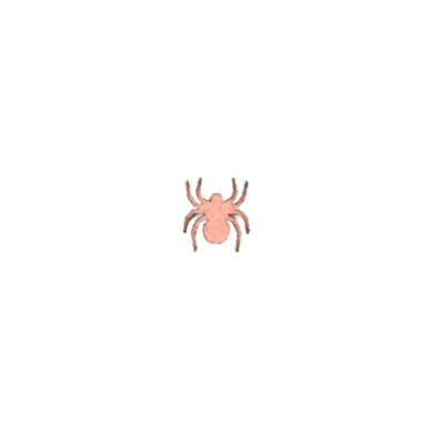1" Spider