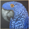 Blue Macaw in Acrylics E-Pattern By Debbie Cushing