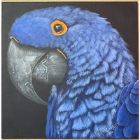 Blue Macaw in Acrylics E-Pattern By Debbie Cushing