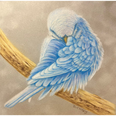 Blue Parakeet E-Pattern By Debbie Cushing