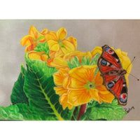 Buckeyed Butterfly and Primrose E-Pattern By Debbie Cushing