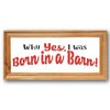 Why Yes, I Was Born in a Barn Stencil By Sharon Cook