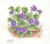 Floral Cards E-Pattern By Donna Hodson