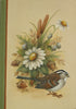 White-Throated Sparrow E-Pattern by Marlene Kreutz CDA