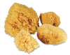 Professional Artist Sponge Set