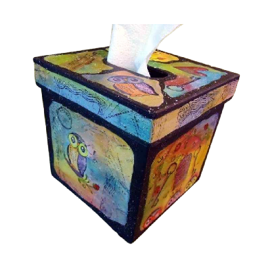 Owl Tissue Box E-Pattern