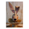 Easter Bunny-Clair E-Pattern