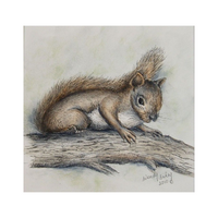 Squirrel (Pen and Ink) E-Pattern by Wendy Fahey