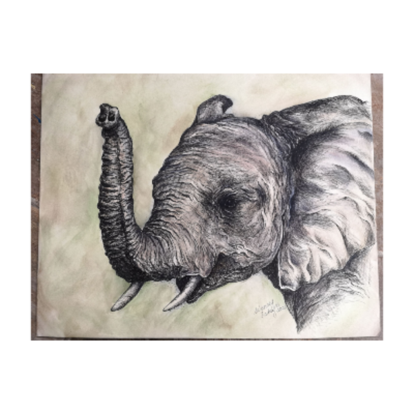 Tusk Tusk (Pen and Ink) E-Pattern by Wendy Fahey