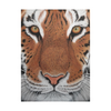 The Look of the Tiger E-Pattern