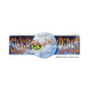 Sleigh Ride Plaque Pattern