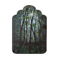 A Walk in the Woods E-Pattern By Marlene Fudge