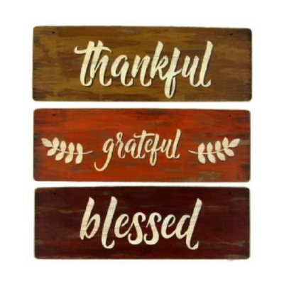 Thankful, Grateful, Blessed E-Pattern by Chris Haughey