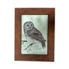 Barred Owl and Faux Wood Frame (Pen and Ink) E-Pattern by Wendy Fahey