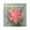 Day Lily E-Pattern By Donna Hodson