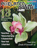 Pixelated Palette - February 2021 Issue Download