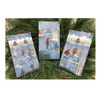 Winter's Fish Whispers E-Pattern By Debby Forshey-Choma