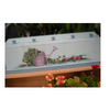 Tulips and Watering Can E-Pattern