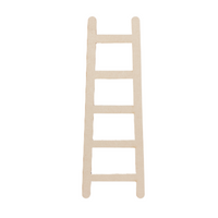 12" Ladder
