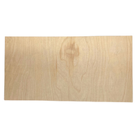 20" Birch Plywood Board