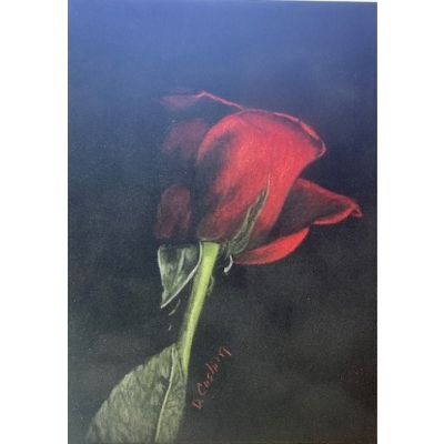 "From the Darkness Came a Rose" E-Pattern By Debbie Cushing